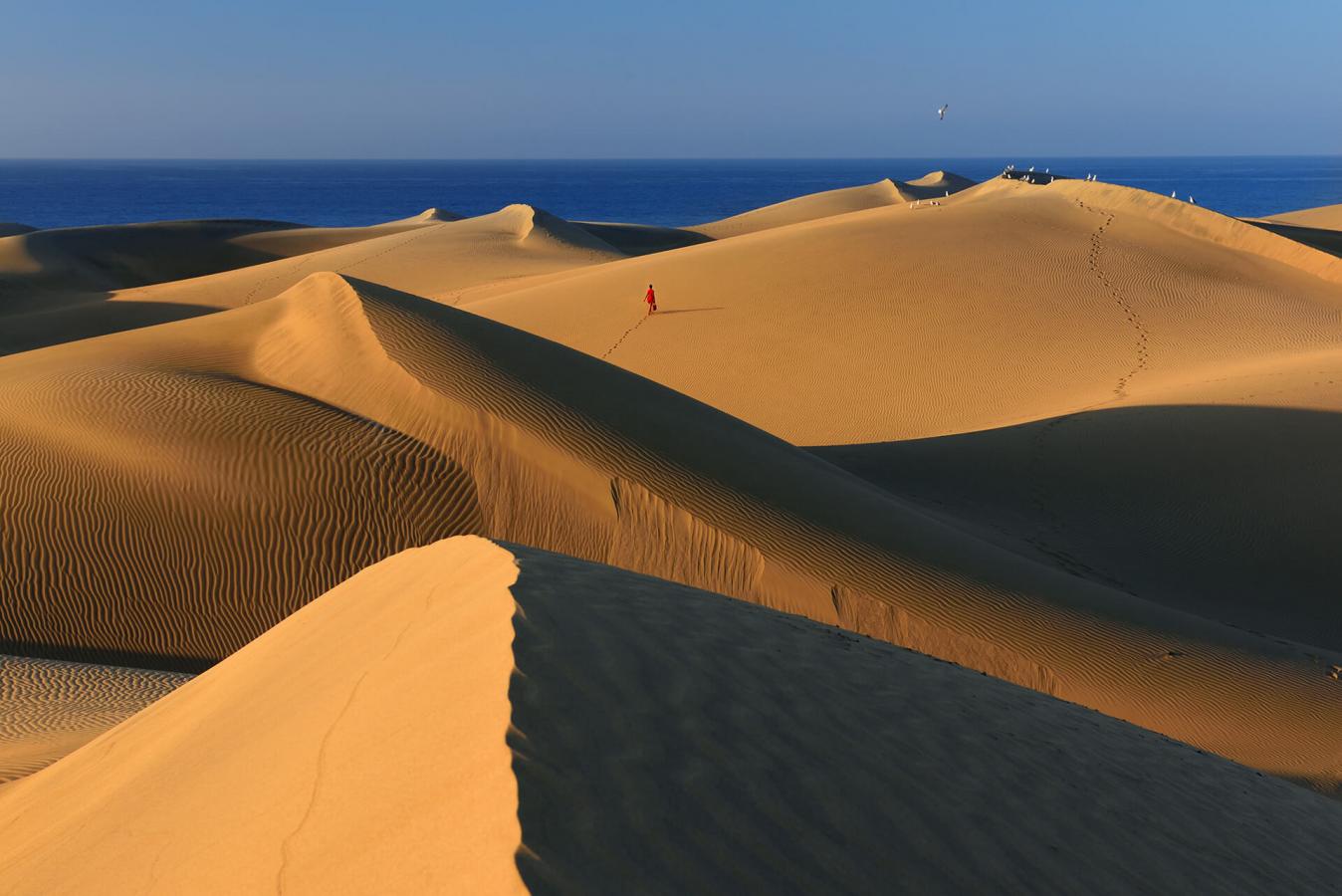 Qué hacer en las dunas de Maspalomas